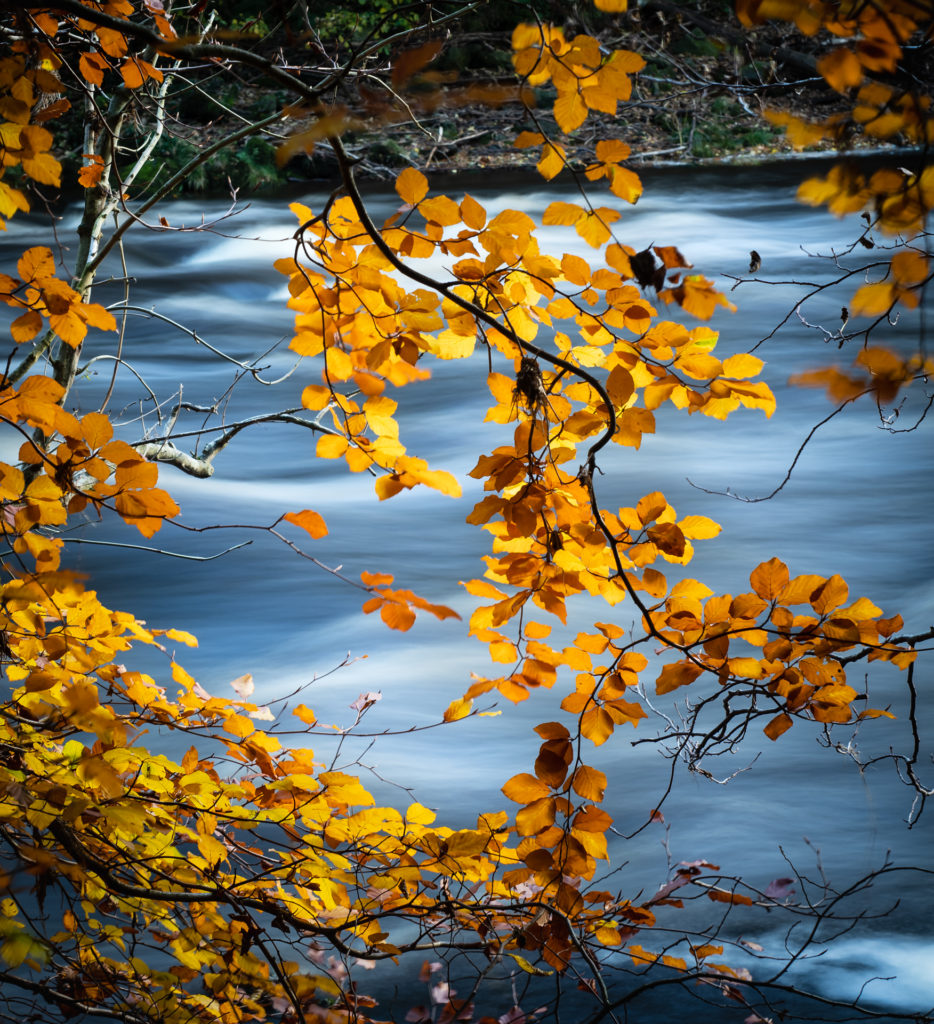 Tony-reed-photography-landscape-photoghrapher-yorkshire-workshops