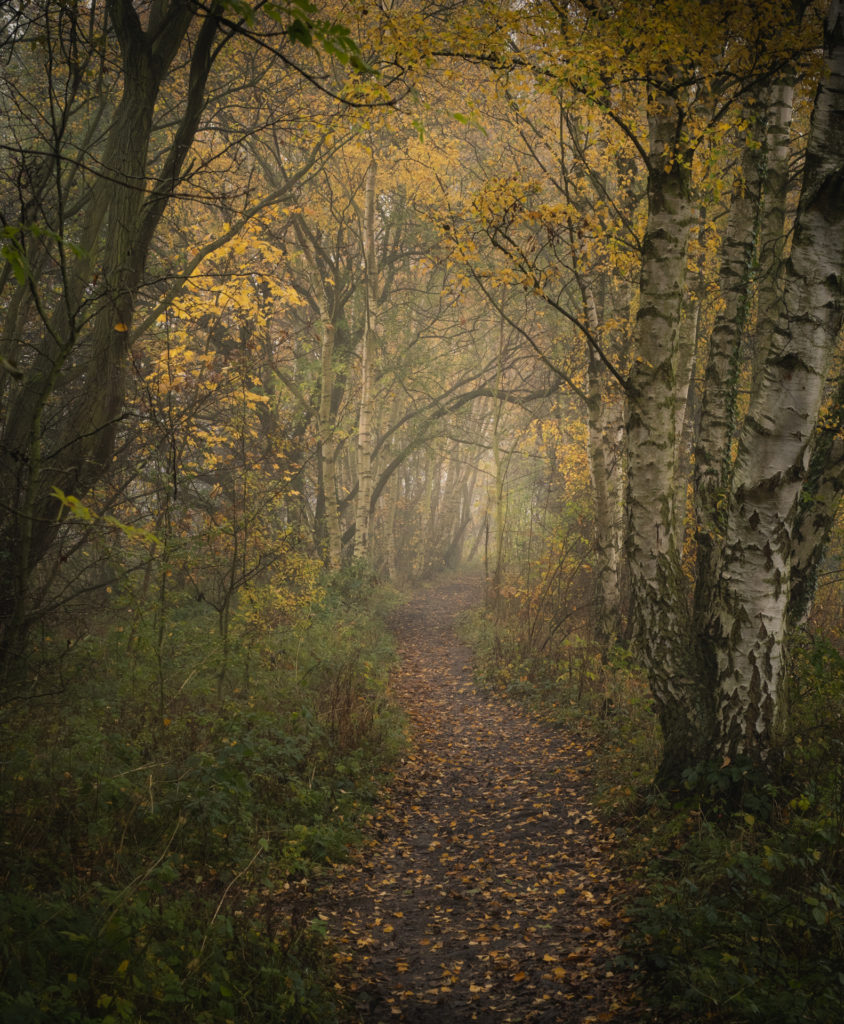 Tony-reed-photography-landscape-photoghrapher-yorkshire-workshops