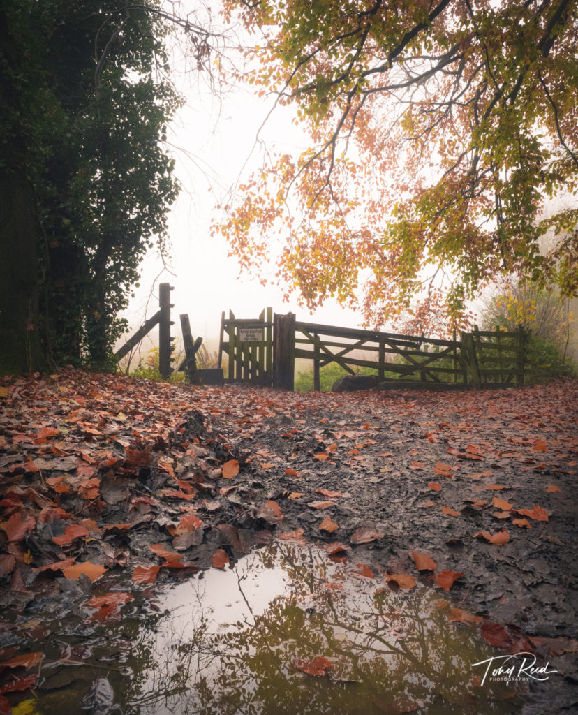 Tony-reed-photography-landscape-photoghrapher-yorkshire-workshops