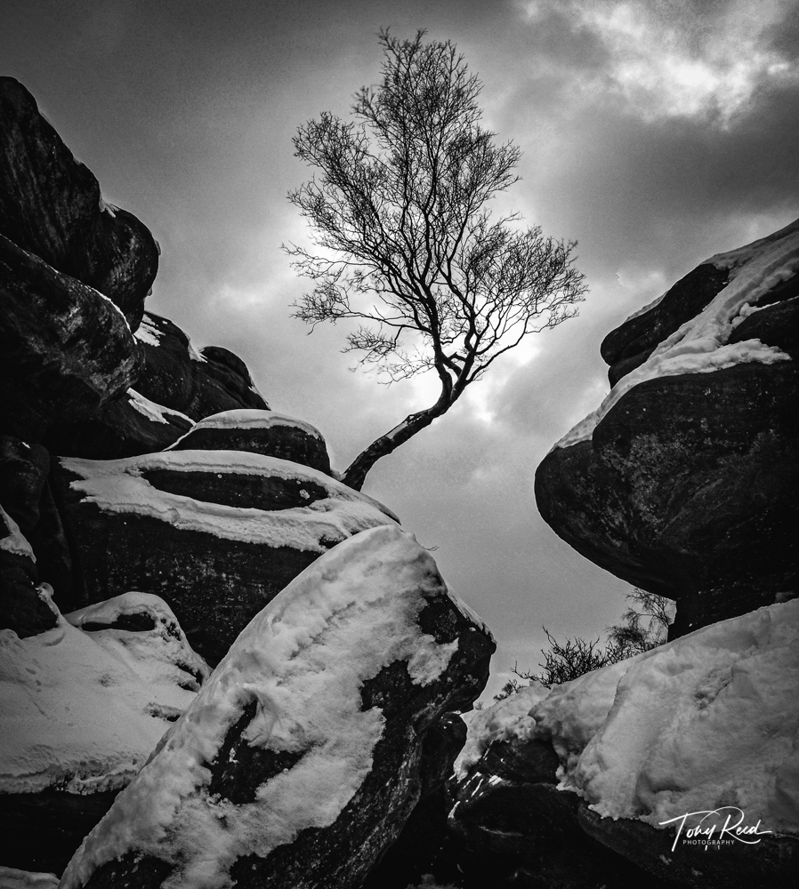 Tony-reed-photography-landscape-photoghrapher-yorkshire-workshops