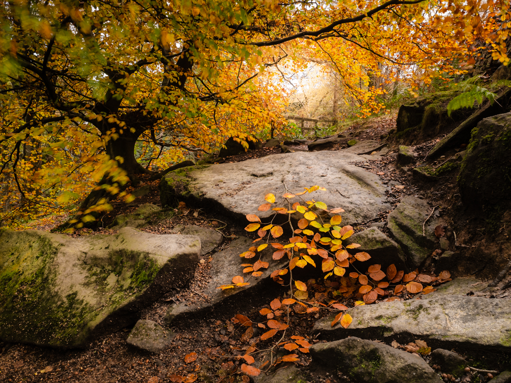 tony-reed-photographer-landscape-photography-yorkshire-workshops