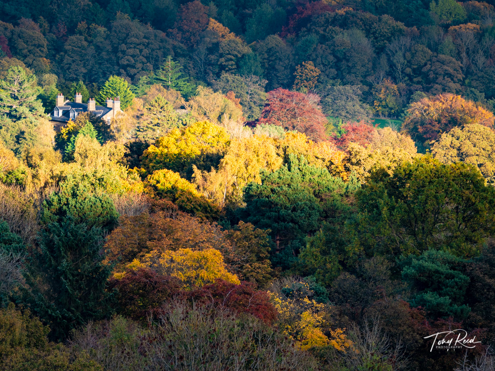 Tony-reed-photography-landscape-photoghrapher-yorkshire-workshops