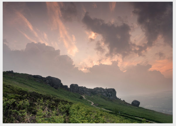 Tony-Reed-Photography-Cow-and-Calf-Sunset