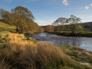 tony-reed-photography-workshop-wharfedale-barden-bridge